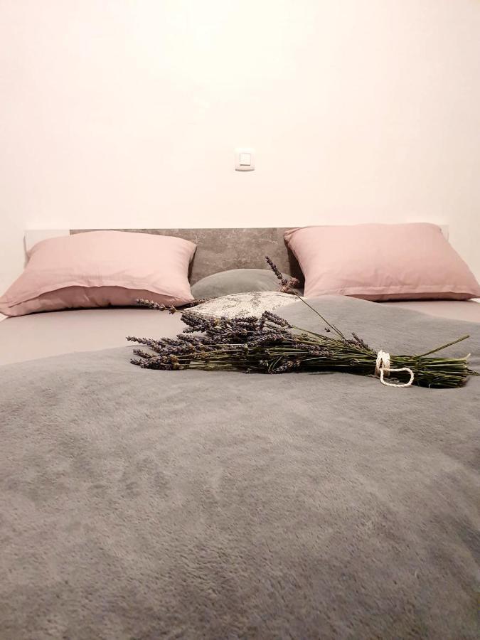 Apartman Skolj Jovici  Εξωτερικό φωτογραφία